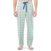 Light Green Plaid